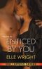 [Wellspring 02] • Enticed by You